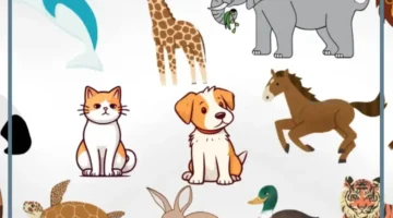 قائمة بأسماء اجمل الحيوانات في العالم 1