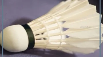 قانون الريشة الطائرة