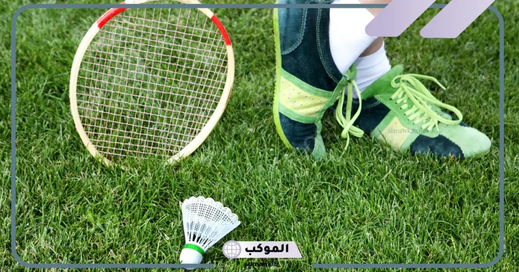 ارتفاع شبكة الريشة الطائرة