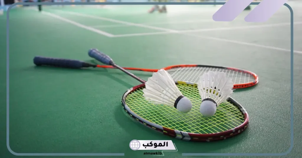 تعريف الريشة الطائرة