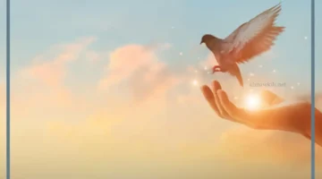 كلام عن التفاؤل والسعادة