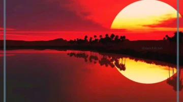 كلمة مؤثرة عن الغروب