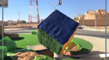 لماذا سميت تمير بهذا الاسم؟