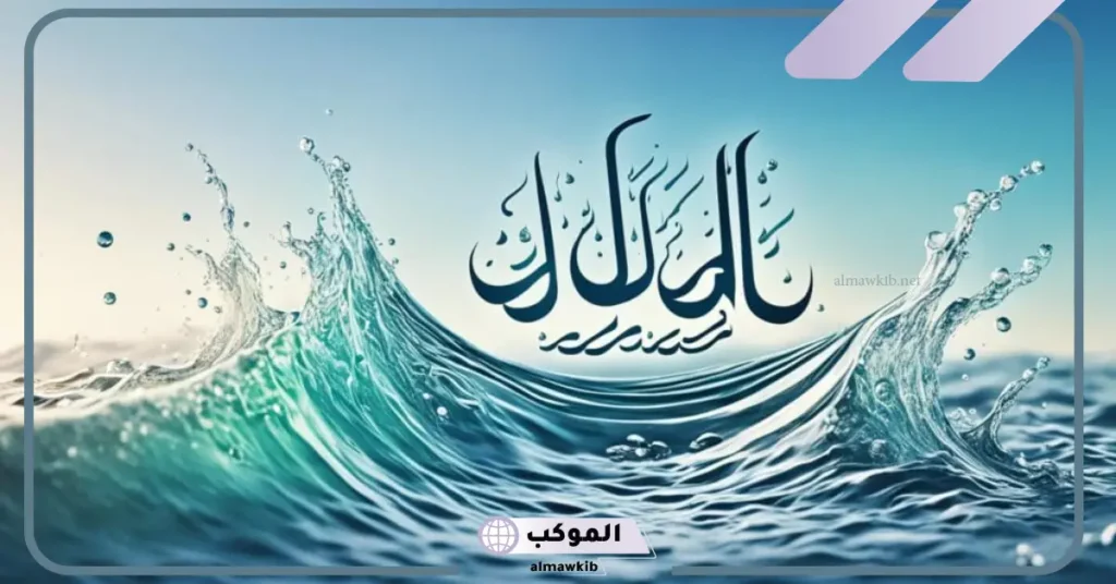 معنى الديم ؟ ما معنى اسم ديم في القرآن؟ 5 ما معنى كلمة الديم؟