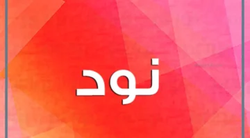 ما هو تعريف النود؟