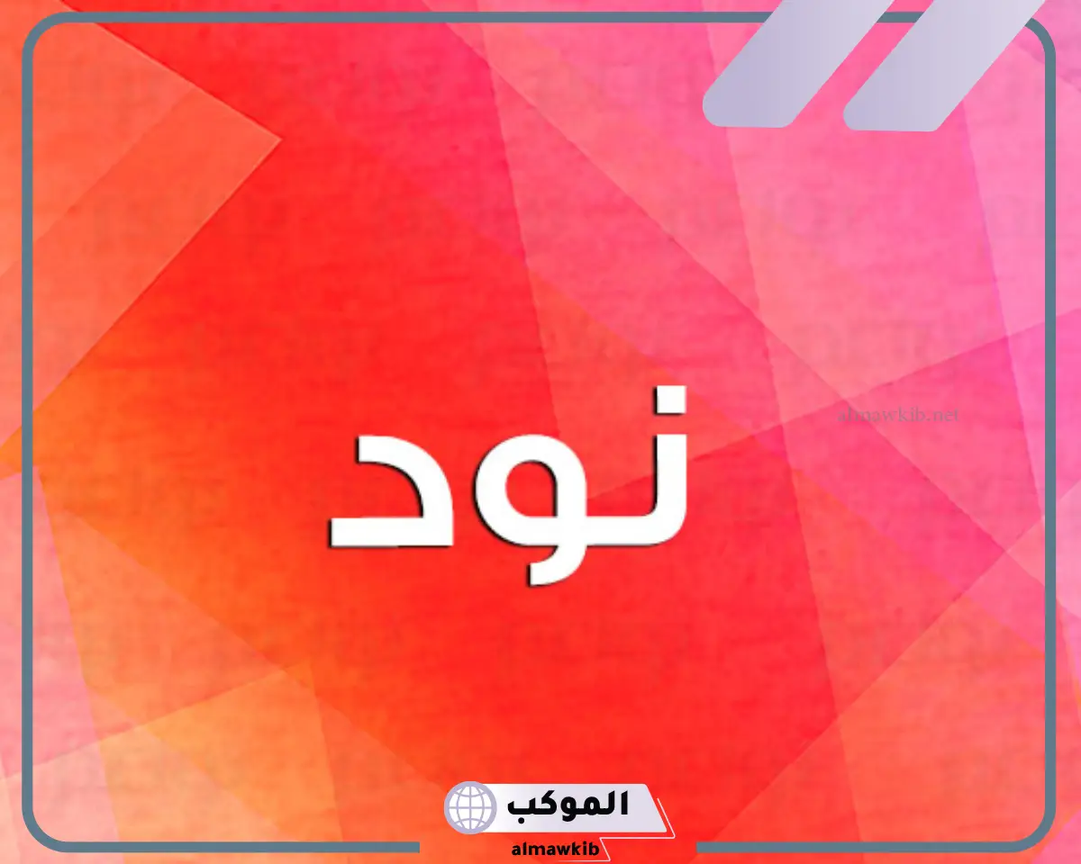 معنى النود