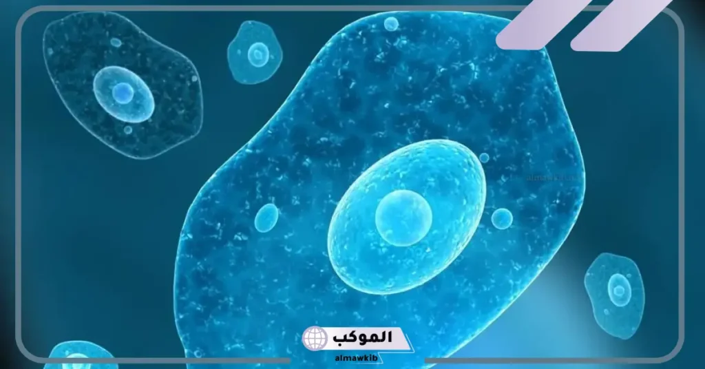 خصائص الطلائعيات