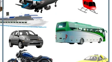 ما هي أقدم وسيلة نقل؟