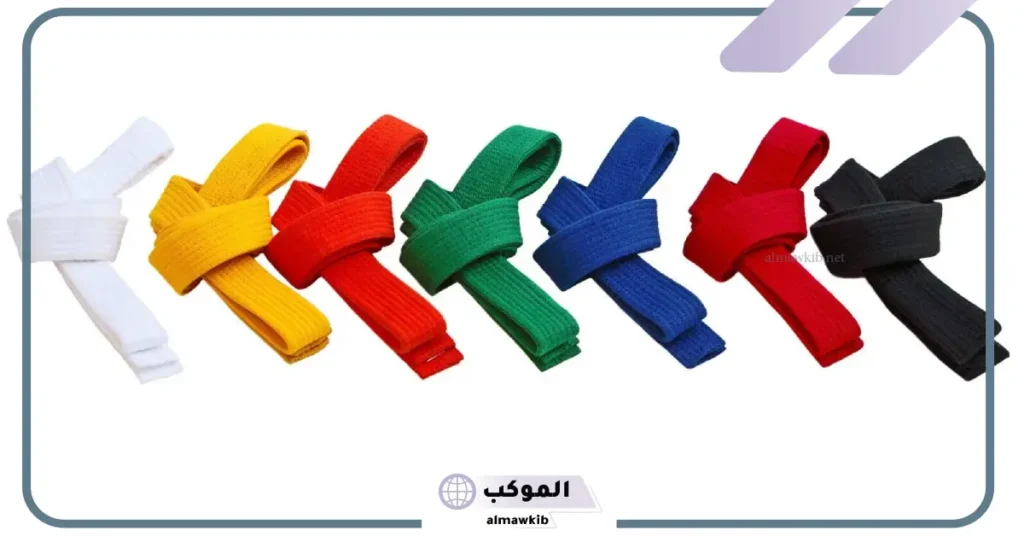 درجات الحزام الأسود في التايكوندو