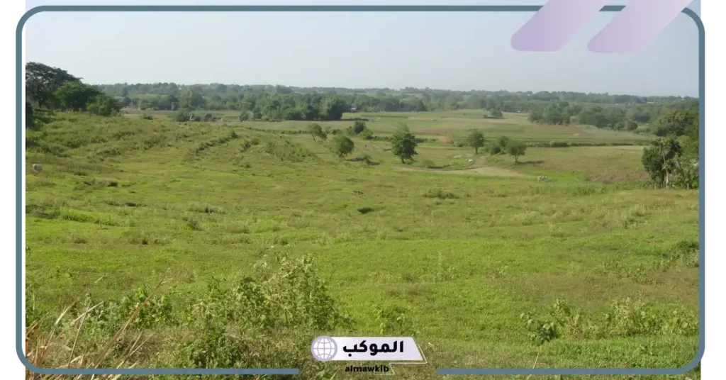 ما هي المنطقة العشبية المعتدلة.. مواصفات مناخ المناطق العشبية 5 حيوانات المناطق العشبية