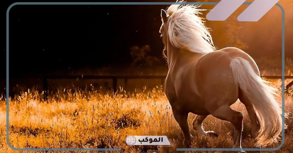 مراحل ولادة الفرس 