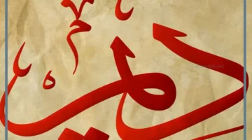 مرادف كلمة ديم