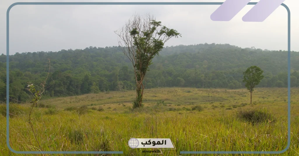 ما هي منطقة عشبيه معتدلة؟ اين تقع الأراضي العشبية 5 اين تقع الأراضي العشبية