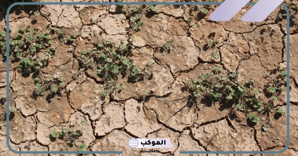 القاحلة ضدها ومرادفها ونوعها