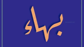 معنى اسم بهاء