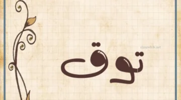 معنى توق في اللغة العربية