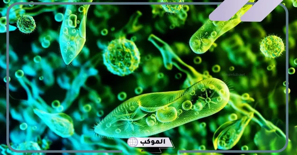 أنواع الطلائعيات