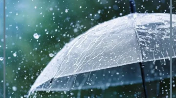 نزول المطر في المنام