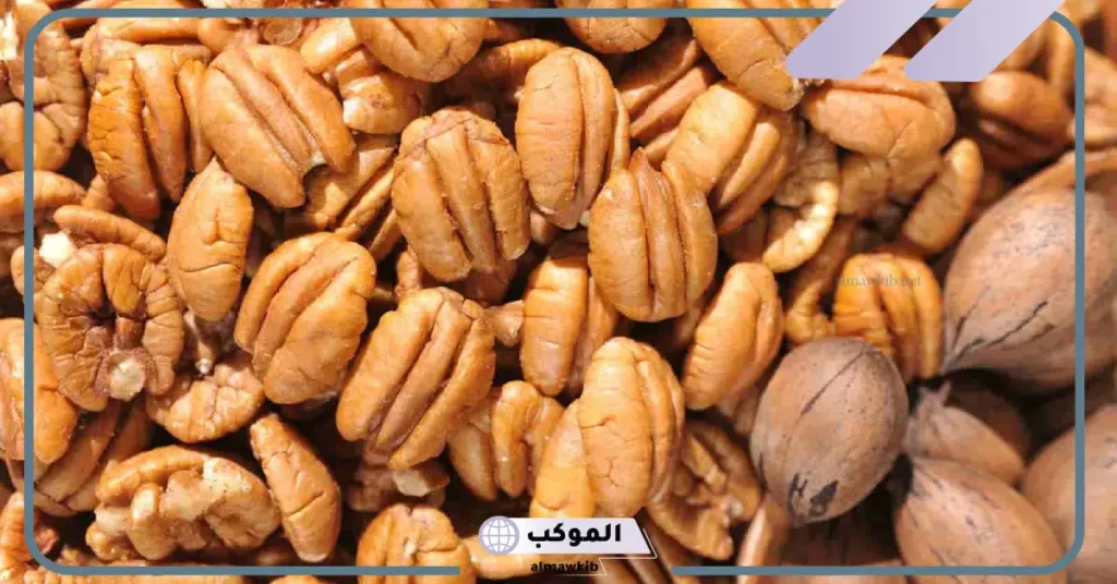 الفرق بين الجوز والبيكان من حيث الفوائد