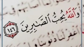 أجمل ما قيل عن الصبر