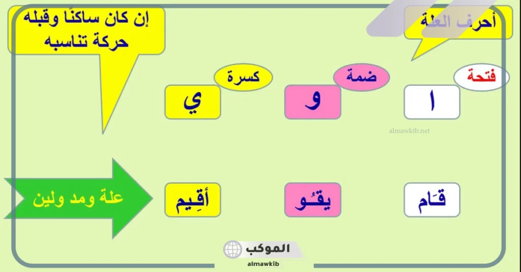 جميع حروف العلة العربية بالأمثلة.. لماذا سميت حروف العلة بهذا الاسم 5 كم عدد حروف العلة
