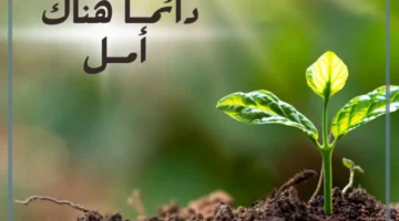 أقوال عن الأمل