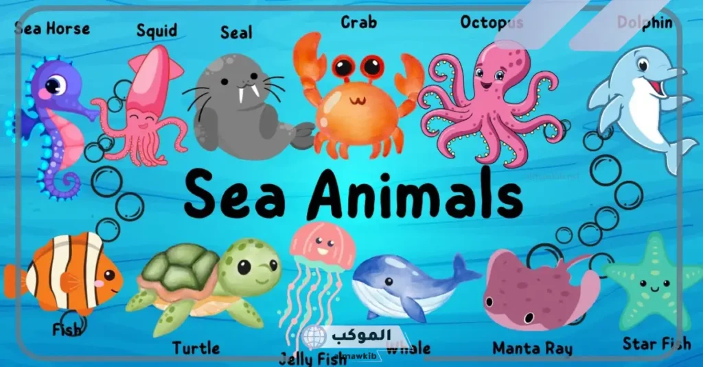 صفات الحيوانات البحرية