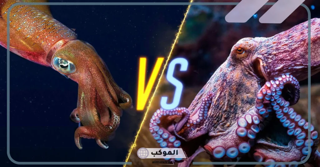 هل الأخطبوط نفسه الحبار 