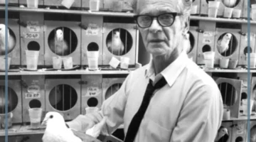 العالم سكنر