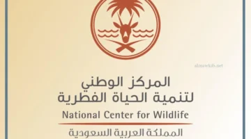 الهدف من إنشاء المركز الوطني