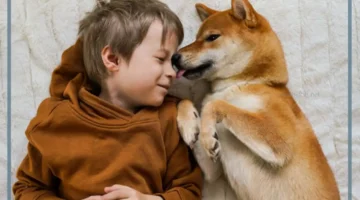 تعبير عن الحيوانات جميل بالإنجليزية