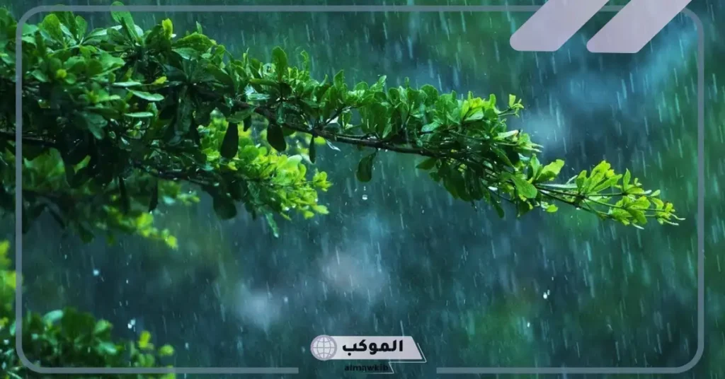 تفسير حلم نزول المطر بغزارة للعزباء