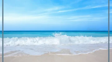 حلمت بالبحر للمتزوجة