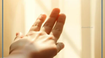 حلمت بتقبيل اليد