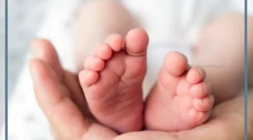 حلمت بولادة ولد