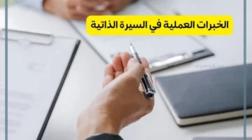 خبرات السيرة الذاتية
