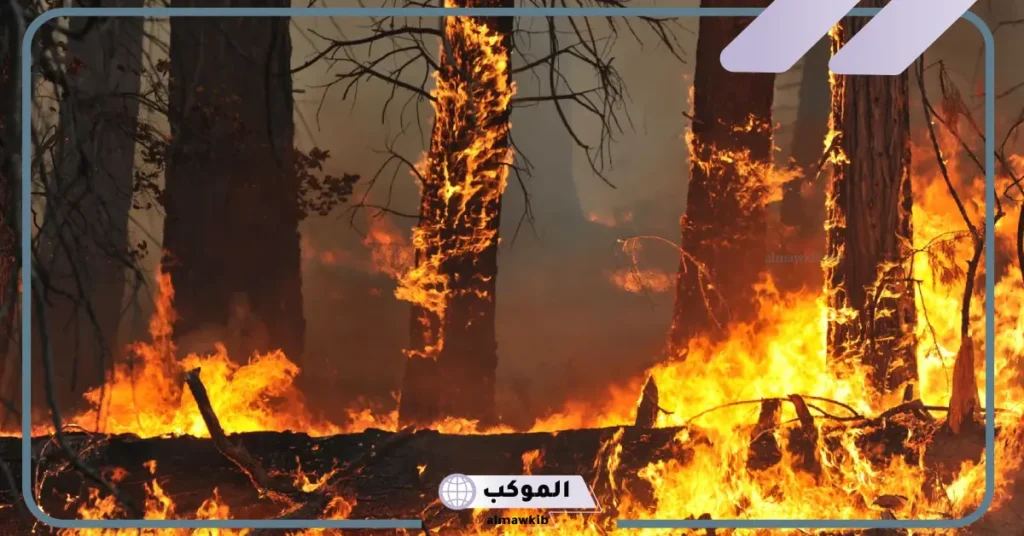 تفسير حلم الحريق للمتزوجة