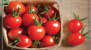 دلالات الطماطم