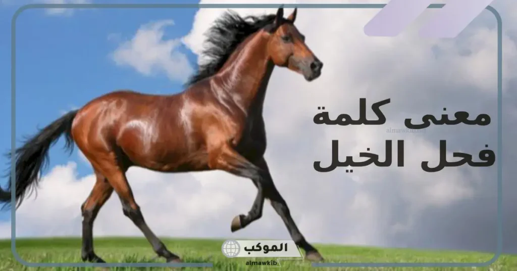 معنى فحل الفحول