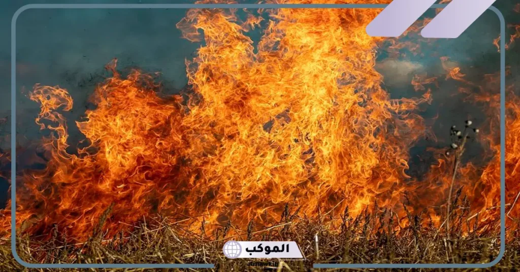 تفسير حلم الحريق في البيت والنجاة منه للعزباء