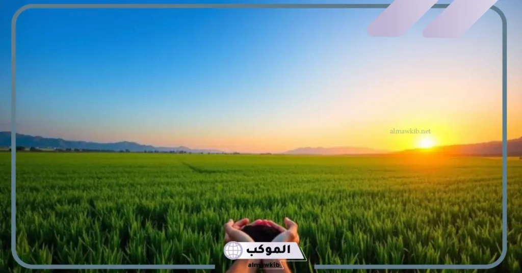 شراء أرض في المنام للعزباء