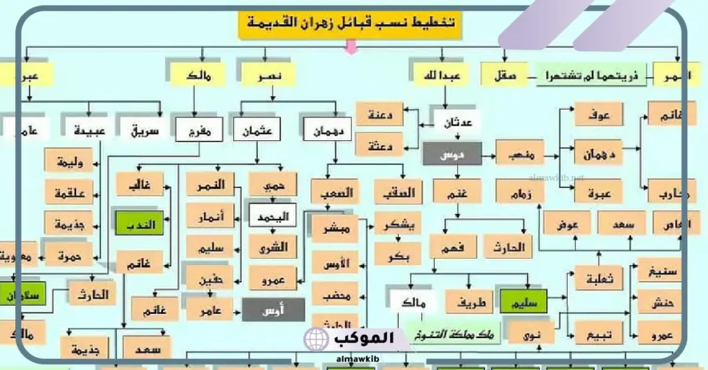 قبيلة الزهراني من وين ترجع؟ فروع عائلة زهران الحالية 6 فروع قبيلة زهران الحالية
