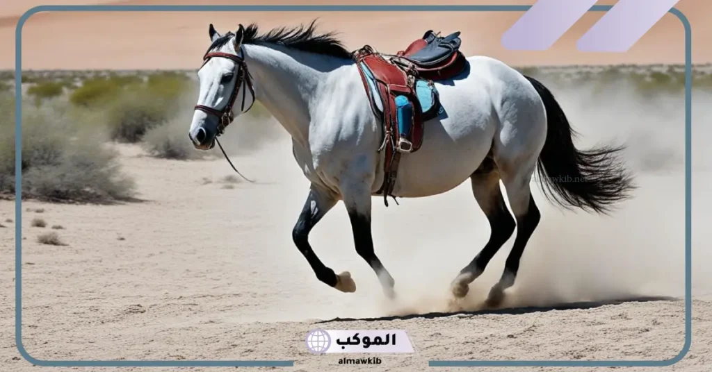 كم مرة تلد الخيل