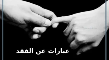 كلام عن الفراق والفقد