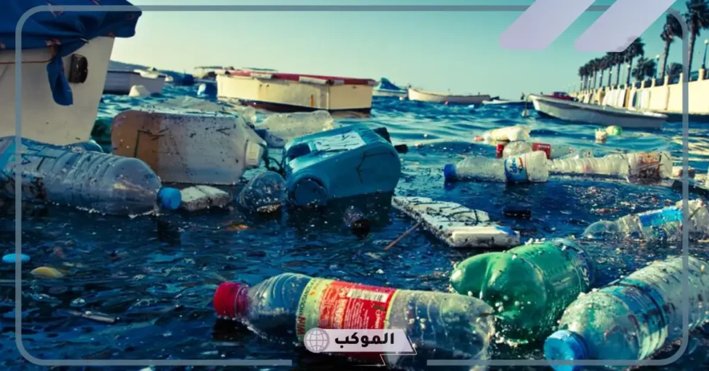 من اضرار التلوث القضاء على الاحياء البحرية من اسماك ونباتات 5 كيف يؤثر تلوث البحار على الحيوانات والنباتات