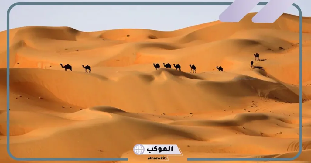 مناخ البيئة الصحراوية