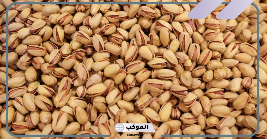 الفستق في المنام العصيمي 