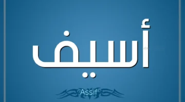 معنى كلمة اسيف في المعجم