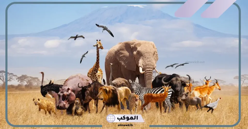 معلومات عن حياة الحيوان القارت.. ما هي القوارت؟ 6 هل الدب حيوان قارت