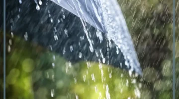 نزول الأمطار في المنام للحامل